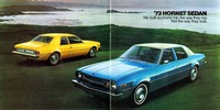 1973 AMC Full Line Prestige-18-19.jpg